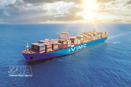 Вьетнамский морской флот открыл многочисленные транспортные маршруты на различные континенты мира. (Фото: ВИА)