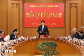 Президент государства Лыонг Кыонг, глава Центрального руководящего комитета по судебной реформе, выступает с руководящими указаниями. (Фото: ВИА)