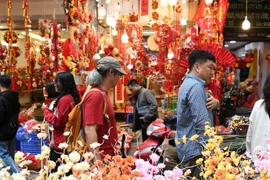 Туристы осматривают улицу Хангма (Ханой) в дни Тэта. (Фото: nhandan.vn)