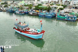 Решительно объявить борьбу с ННН-промыслом. (Фото: ВИА)