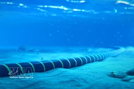 Фотоиллюстрация: (https://bnews.vn/)