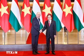 Во второй половине дня 28 мая 2025 года в Доме НС Председатель НС Чан Тхань Ман встречается с Президентом Венгрии Тамашем Шуйоком, находящимся с официальным визитом во Вьетнаме. (Фото: ВИА)