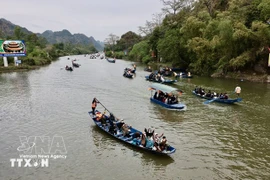 Праздник пагоды Хыонг: по ручью Йен снуют лодки, везущие паломников на весенний праздник. (Фото: ВИА)