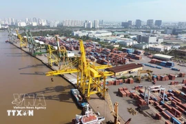 Погрузочно-разгрузочные работы с контейнерами в порту Тантуан — Акционерная компания «Сайгонский порт». (Фото: ВИА)