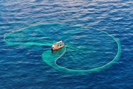 Усилия по снятию «жёлтой карточки» ЕС за ННН-промысел: На пути к ответственному развитию отрасли водного промысла