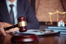 Внедрение пилотного проекта по реализации института государственных адвокатов. Фото: baochinhphu.vn
