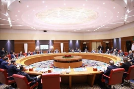 Премьер-министр Фам Минь Тьинь проводит переговоры с Премьер-министром Алжирской Народной Демократической Республики Сифи Гриебом. (Фото: ВИА)