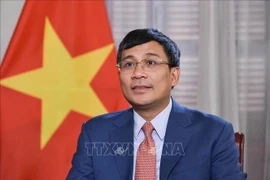 Постоянный заместитель министра иностранных дел Нгуен Минь Ву. (Фото: ВИА)