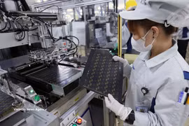 Производство печатных плат для электронных устройств на заводе компании Mektec Manufacturing Vietnam Co., Ltd. (100 % японский капитал), расположенном в промышленном парке Тханглонг II, квартал Михао, провинция Хынгйен. Фото: ВИА