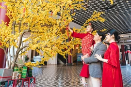 Фестиваль встречи Нового 2026 года зажигает Дананг. (Фото: Департамент культуры, спорта и туризма города Дананг )