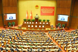 Общий вид конференции. (Фото: ВИА)