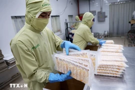Упаковывают переработанную креветочную продукцию на экспорт в Японию. (Фото: Хонг Дат/ВИА)
