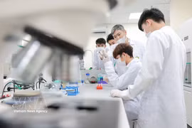 Преподаватель Вьетнамской сельскохозяйственной академии непосредственно обучает студентов методам лабораторного анализа. Фото: ВИА