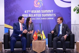 Премьер-министр Фам Минь Тьинь встречается с султаном Брунея Хассаналом Болкиахом. (Фото: ВИА)