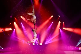 Номер "Duo Love" в исполнении Заслуженных артистов Тхань Туана и Тху Хыонг. (Фото: Вьетнамская федерация цирка)