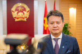Генеральный директор ВОИС Дарен Танг дал интервью средствам массовой информации о перспективах сотрудничества организации с Вьетнамом в ближайшее время. (Фото: ВИА)