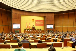 Общий вид конференции. (Фото: ВИА)