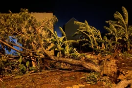 Тайфун №13 оказывает прямое воздействие на центральные провинции Вьетнама