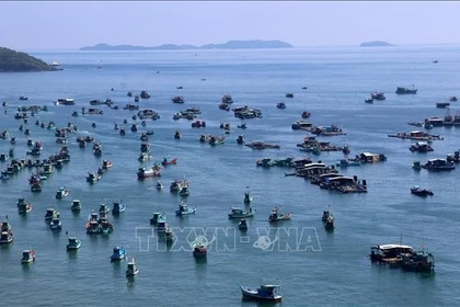 Рыболовные суда рыбаков в акватории Антхой города Фукуок (провинция Кьенгянг). Фото: ВИА.