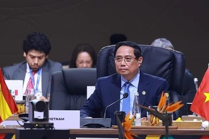 Премьер-министр Фам Минь Тьинь выступает на пленарном заседании саммита G20. Фото: ВИА.