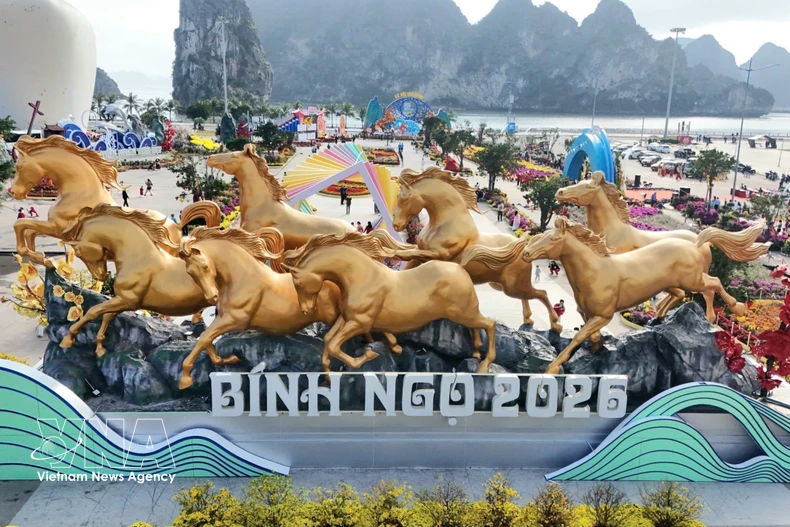 Панорама пространства «Аллея цветов и световых технологий», сверкающего огнями на берегу залива — объекта мирового наследия (Фото: ВИА)