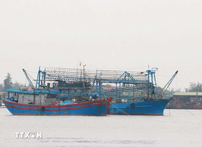 Рыболовные суда укрываются от тайфуна (Фото: ВИА) bao-so-1-tranh-bao.jpg