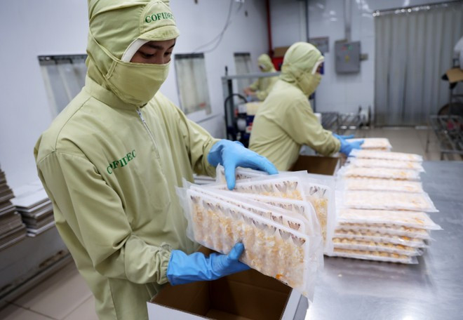 Упаковка продуктов переработки креветок для экспорта в Японию (Фото: ВИА) nhieu-co-hoi-xuat-khau-nong-san-sang-nhat-ban-7287924.jpg