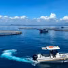 Участок высокотехнологичного выращивания морского окуня на глубоководье компании Australis Vietnam Aquaculture Co., Ltd. в заливе Ванфонг, провинция Кханьхоа (Фото: nhandan.vn)