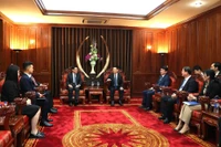 Заместитель премьер-министра Хо Дык Фок подчеркнул, что Вьетнам придаёт большое значение Всеобъемлющему стратегическому партнёрству с Сингапуром. (Фото: ВИА)