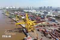 Погрузочно-разгрузочные работы с контейнерами в порту Тантуан — Акционерная компания «Сайгонский порт». (Фото: ВИА)