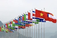 Развивает всеобъемлющую, современную и профессиональную дипломатическую отрасль. (Фото: chinhphu.vn)