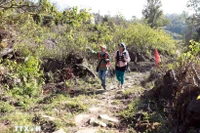 Древняя каменная дорога Пави проходит от общины Синсуойхо (провинция Лайчау) до общины Денсанг (провинция Лаокай). (Фото: ВИА)