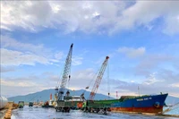 Погрузочно-разгрузочная техника работает в порту Вунганг. (Фото: ВИА)