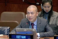 Советник Нгуен Хоанг Нгуен, заместитель главы Постоянного представительства Вьетнама при Организации Объединённых Наций (ООН), выступает на 64-й сессии Комиссии ООН по социальному развитию. (Фото: ВИА)