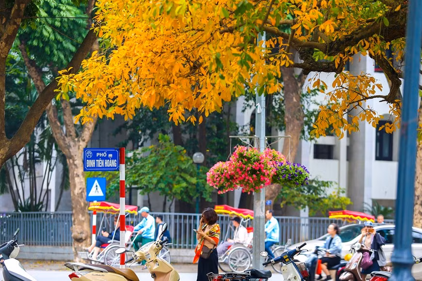 (Фото: Тхе Дай / Vietnam +)