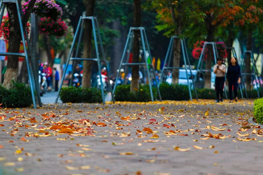 (Фото: Тхе Дай / Vietnam +)