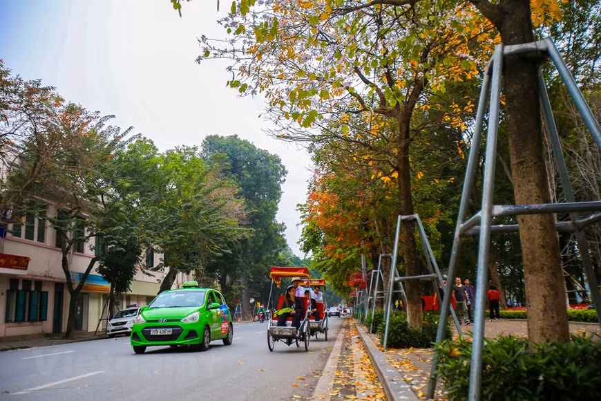 (Фото: Тхе Дай / Vietnam +)