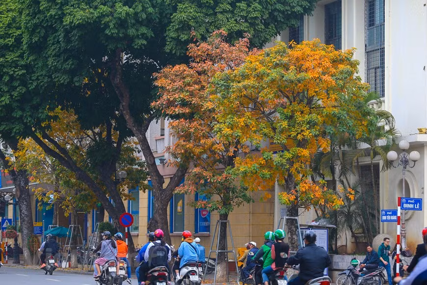 (Фото: Тхе Дай / Vietnam +)