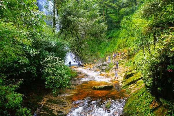 Девственные леса Фукуока расположены на севере острова Фукуок. (Фото: saigonstartravel.com)