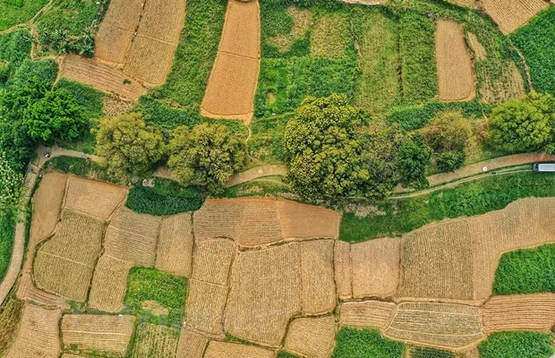 Исторический памятник превратил в фотостудию. (Фото: Суан Май/ Vietnam +)