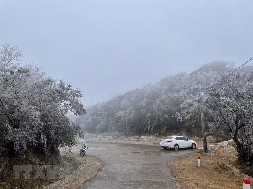 Гора Фиа-оак как будто одета в белую «снежную шубу», пейзаж как и в Европе. (Фото: ВИА)