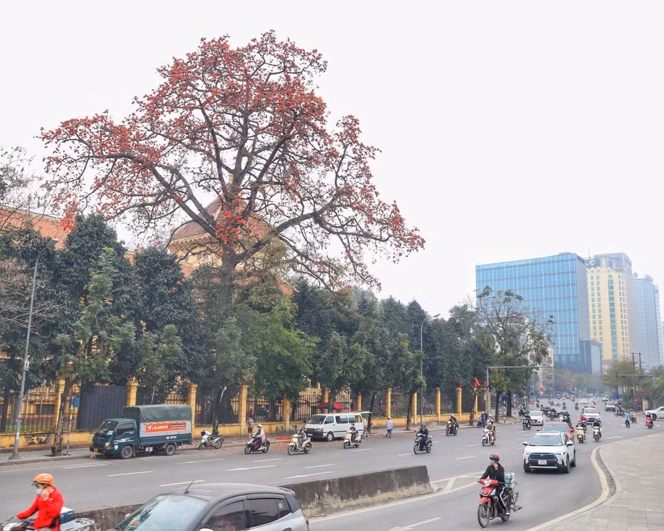 Nhập mô tả cho ảnh