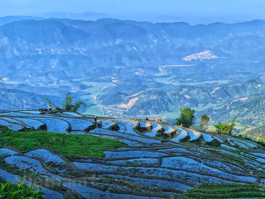 (Фото: Vietnam+)