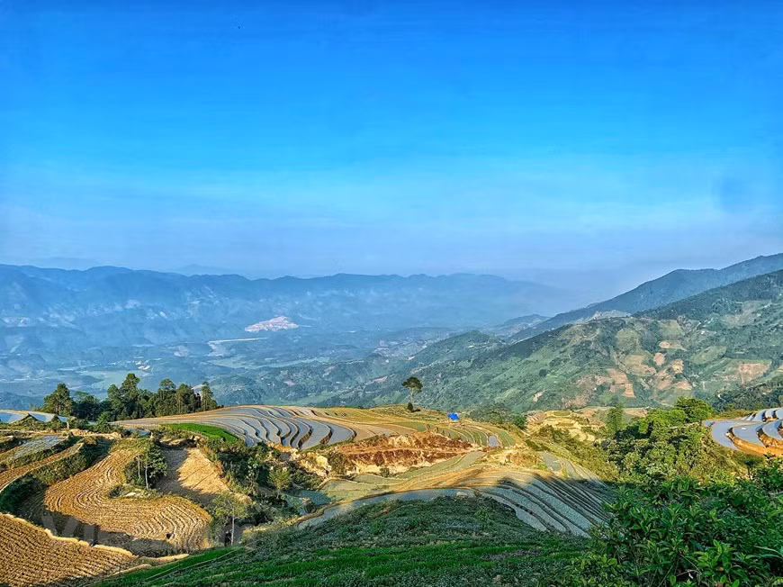 (Фото: Vietnam+)