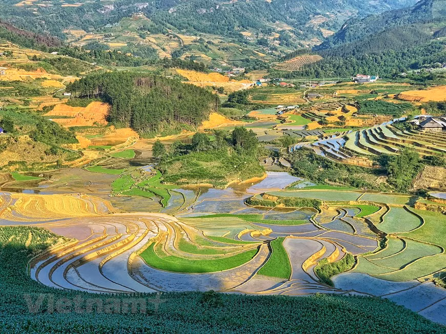 (Фото: Vietnam+)