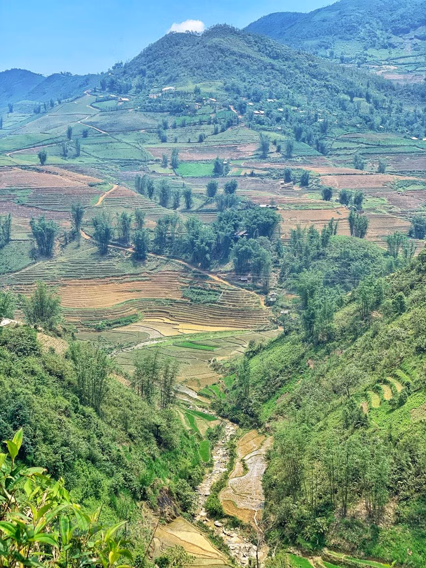 (Фото: Vietnam+)