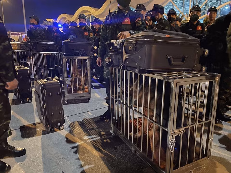 Спасательные силы ВНА привозили с собой служебных собак для выполнения аварийно-спасательных работ. (Фото: ВИА)