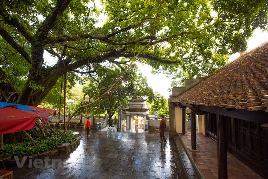 (Фото: Vietnam+)