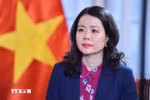 Заместитель министра иностранных дел Нгуен Минь Ханг. (Фото: ВИА)
