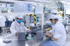 Производство электронных компонентов на предприятии компании Star Engineers Vietnam Co., Ltd. в промышленном парке Биньсюен I провинции Футхо. Фото: ВИА.